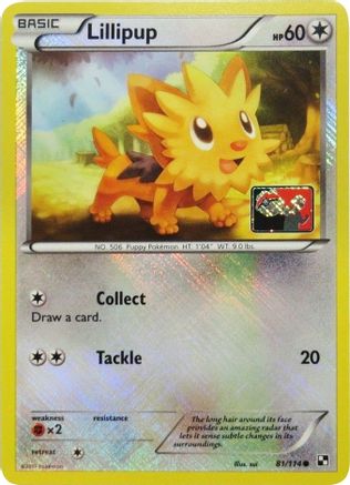 Lillipup (81/114) (League Promo) [Black & White: Base Set]