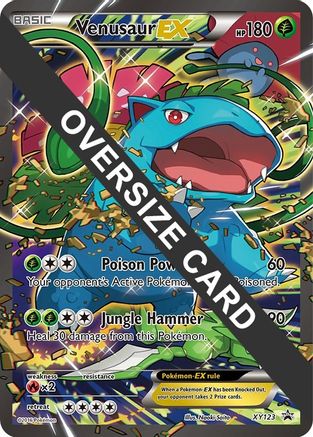 Venusaur EX (XY123) (Jumbo Card) [XY: Black Star Promos]