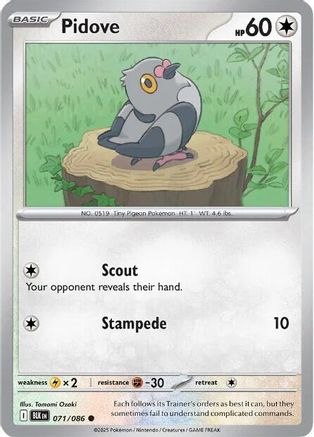 Pidove 071/086 - SV Black Bolt Reverse Holofoil