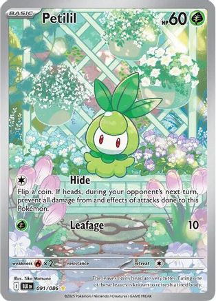Petilil - 091/086 - SV Black Bolt Holofoil
