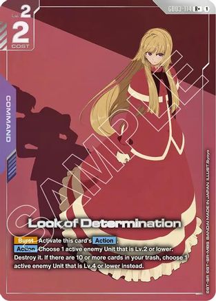 Look of Determination (R+) (GD03-114) - Steel Requiem Holofoil