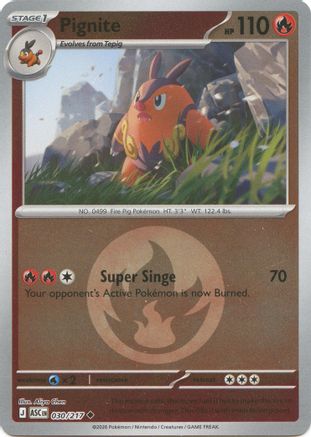 Pignite (Energy Symbol Pattern) 030/217 - ME Ascended Heroes Reverse Holofoil