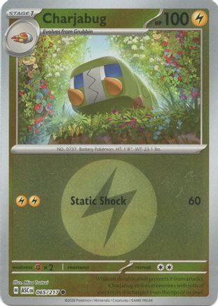 Charjabug (Energy Symbol Pattern) 065/217 - ME Ascended Heroes Reverse Holofoil