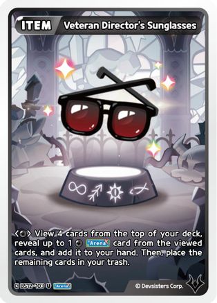 Veteran Director's Sunglasses (BS12-103) - Festival Arena