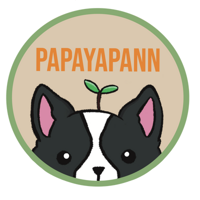 PapayaPann Keychain